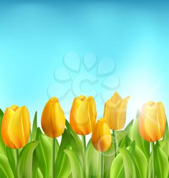 Illustration Nature Floral Background with Tulips Flowers and Blue Sky, Springtime, Summertime, Environment, Beautiful Landscape - Vector