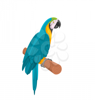 Illustration Pretty Blue Parrot Ara on Branch. Bird Isolated on White Background. Endangered Animal - Vector