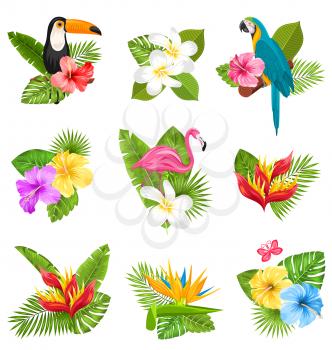 Illustration Set Composition with Tropical Flowers, Exotic Bird and Plants. Collection Elements Isolated on White Background - Vector