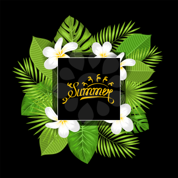 Summer Card with Frangipani Flowers and Green Tropical Leaves - Illustration Vector