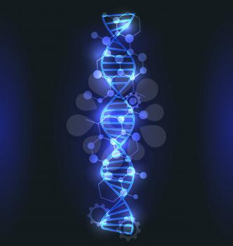 DNA, Molecule Structure with Glowing Effect, Genetic Code - Illustration Vector