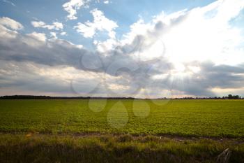 Royalty Free Photo of Sunbeams Through the Clouds Over Green Fields