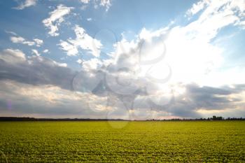 Royalty Free Photo of Sunbeams Through Clouds Over a Green Field