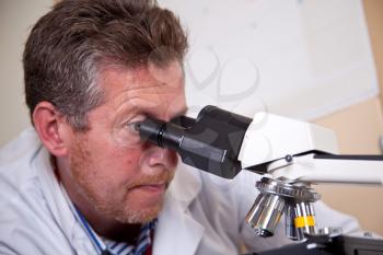 Scientist works with microscope