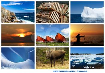 Royalty Free Photo of Pictures of Newfoundland