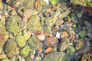 colorful pebbles on the bottom of sea near the coast