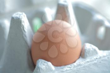 One brown egg in packing for eggs closeup 