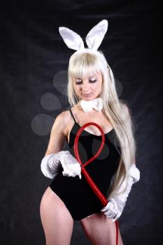 A bunny dressed girl  studio shooting on gray background