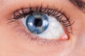 blue women's eye closeup macro