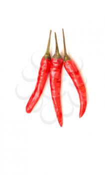 Tree red chilli pepper isolated on light gray background
