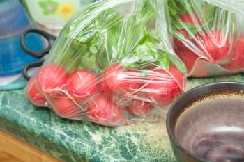 Fresh pack of radish in the kitchen