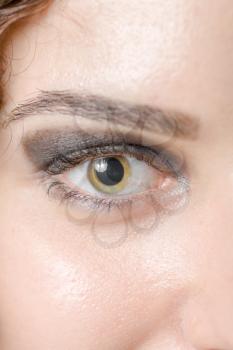 Macro shot of woman's eye with long eyelashes. Sexy looking eye look
