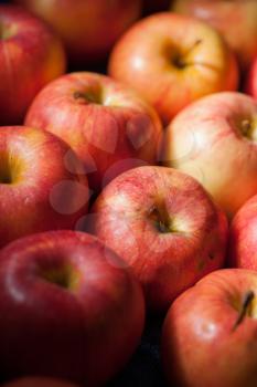 Large group of ripe red apples background. Many fresh natural organic apples candid vertical shot.