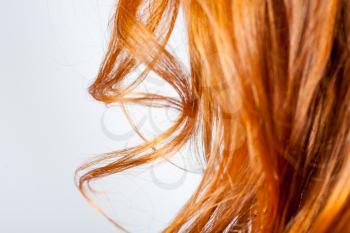 ginger red (carrot top) curly hair closeup