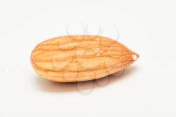 one almond closeup isolated on white background