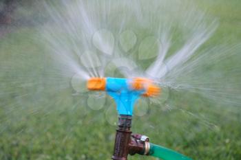 Blue and orange sprinkler watering grass. Garden irrigation system watering lawn. Closeup image of a garden sprinkler on a sunny summer day during watering the green grass in garden.
