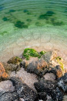 Seascape. Tropical beach from above. Green ocean shallow  water