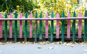 Colorful fence with beautiful plant background.