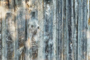 Wood texture. Old panels for background