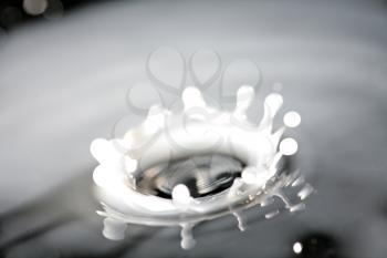 Splash of white liquid