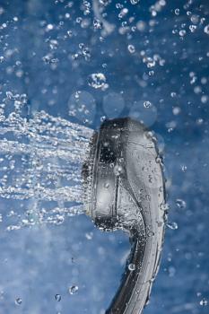 A shower head is spraying water about. Flowing water from the shower head and copy space. Water drops levitation. 