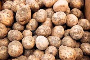 Young organic potato background, selling potato in grocery store vintage color-look