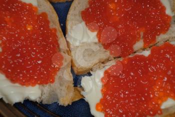 Red fish eggs on butter sandwiches top view. Traditional russian delicatessen.