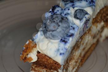 Honey dessert with blueberries on top cream layer.