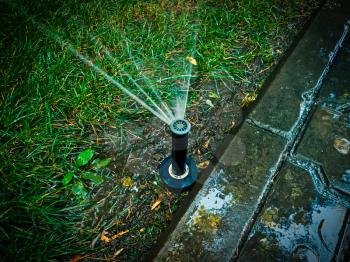 Automatic watering system in the park working. Sprinkler in park diagonal view, colorized image