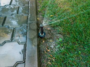 Automatic watering system in the park working. Sprinkler in park.