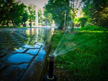 Automatic watering system in the park working. Ground level shot.