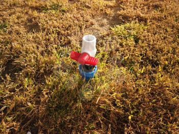 Plastic PVC pipe with red valve is set in dry grass, water shortage, drought