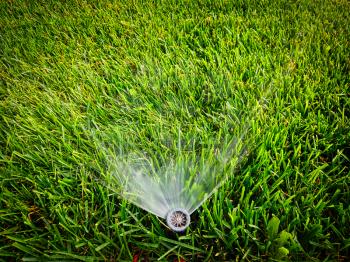 Water sprinkler with flow of water coming out of jet and a lot of fresh-cut green grass, copyspace