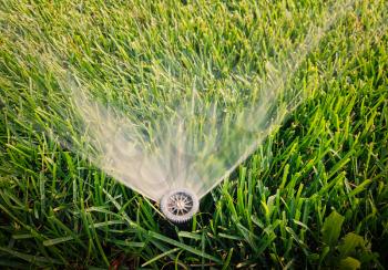Closeup of irrigation system in garden. Sprinkler is spreading water all over the grass. Copyspace on top of the image.