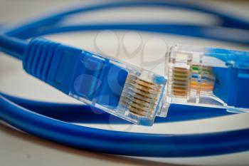 Two network RJ45 plugs of blue colour macro. Blue RJ45 CAT6 shielded network data internet cable in coils and connectors on gray background shallow DOF.