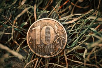 10 Russian rubles coin is lying on the drying grass, macro. Economic crysis concept.