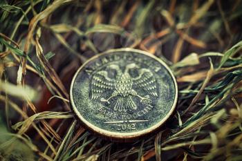 Used bronze coin is lying on drying grass. Russian roubles coin with state eagle seal and words - Bank of Russia 2012 - in focus. Shallow DOF