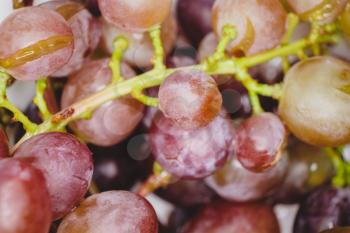Grape fruit macro image with many overripe berries
