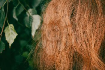 Healthy red hair close-up in front of green fresh leaves, copyspace