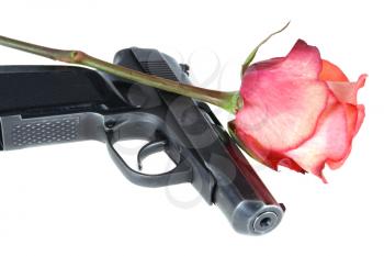 Royalty Free Photo of a Rose on a Gun