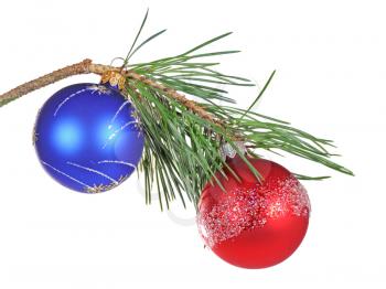Christmas branch of a pine isolated on white background