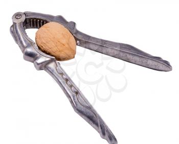 instrument for split nut isolated on white background
