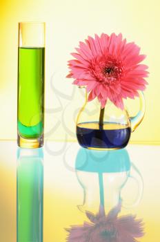 Royalty Free Photo of a Pink Gerbera in a Vase