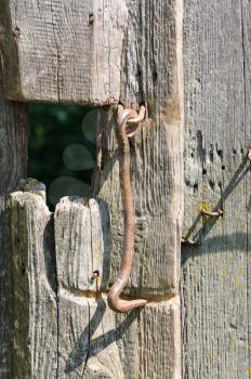 Royalty Free Photo of a Rusty Door Hook