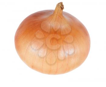 Royalty Free Photo of an Onion