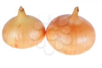 Brown fresh onions isolated on white background