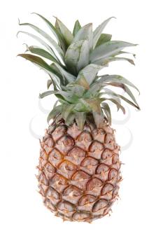 Ripe tasty pineapple isolated on white background                               