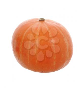 orange pumpkin isolated on white background