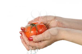 Royalty Free Photo of a Woman Washing a Tomato