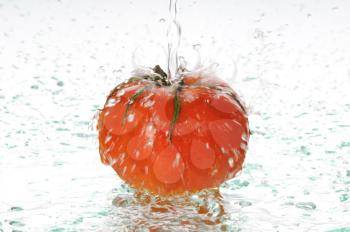 Royalty Free Photo of a Tomato Being Washed